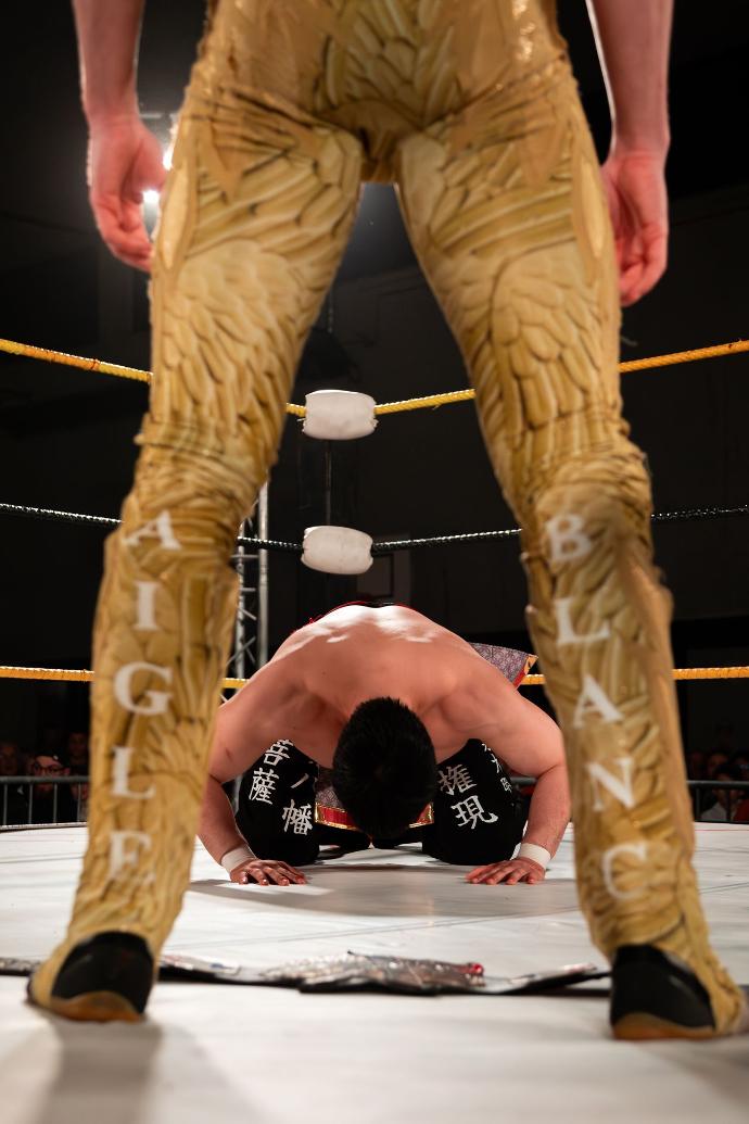 Aigle Blanc VS Yoichi - élue meilleure photo 2024 par ma communauté